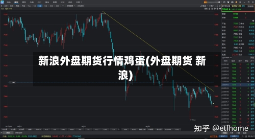 新浪外盘期货行情鸡蛋(外盘期货 新浪)