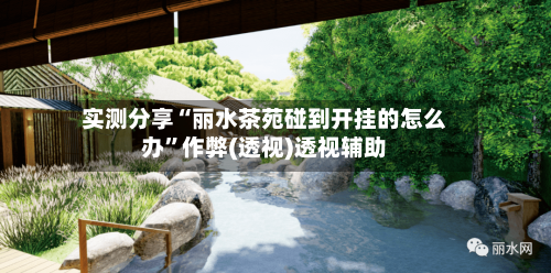 实测分享“丽水茶苑碰到开挂的怎么办”作弊(透视)透视辅助-第3张图片