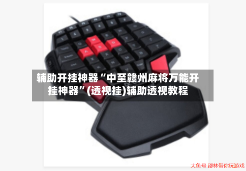 辅助开挂神器“中至赣州麻将万能开挂神器”(透视挂)辅助透视教程-第2张图片