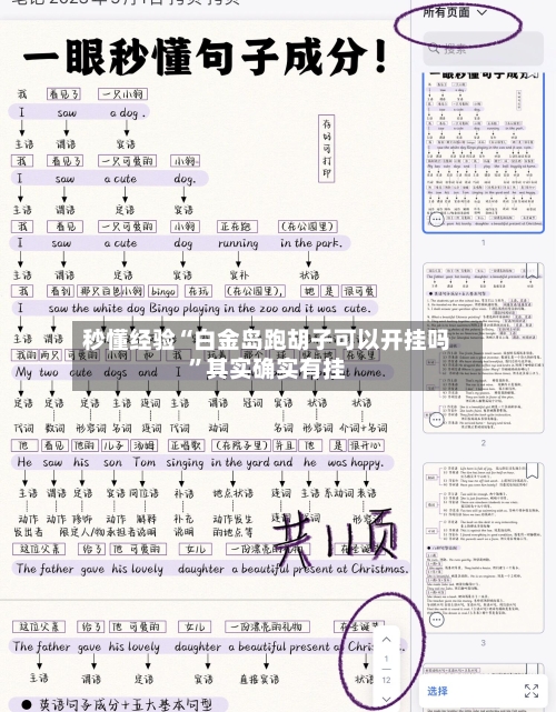 秒懂经验“白金岛跑胡子可以开挂吗	”其实确实有挂-第2张图片
