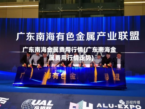 广东南海金属费用行情(广东南海金属费用行情走势)