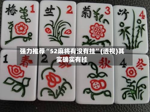强力推荐“52麻将有没有挂”(透视)其实确实有挂-第2张图片