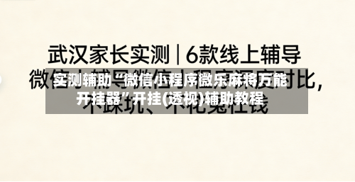 实测辅助“微信小程序微乐麻将万能开挂器”开挂(透视)辅助教程-第3张图片