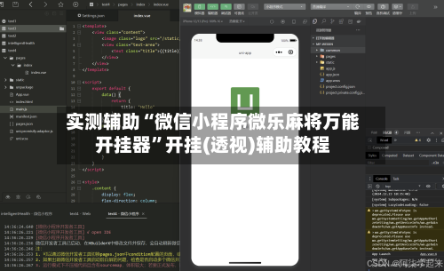 实测辅助“微信小程序微乐麻将万能开挂器”开挂(透视)辅助教程-第2张图片