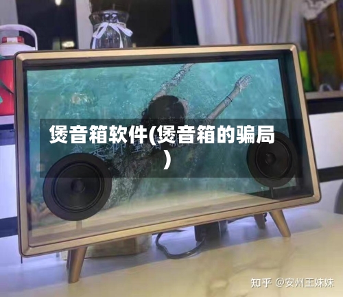 煲音箱软件(煲音箱的骗局)-第3张图片