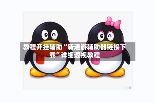 教程开挂辅助“新道游辅助器链接下载”详细透视教程-第3张图片