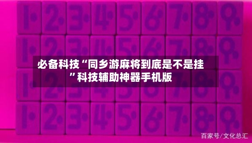 必备科技“同乡游麻将到底是不是挂”科技辅助神器手机版-第3张图片
