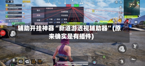辅助开挂神器“新道游透视辅助器	”(原来确实是有插件)-第2张图片