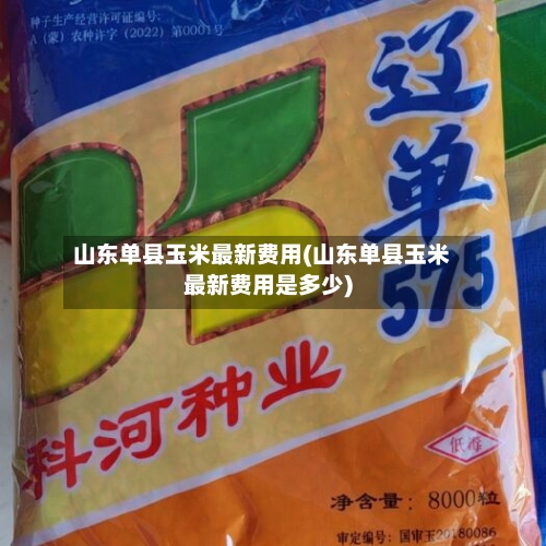 山东单县玉米最新费用(山东单县玉米最新费用是多少)-第2张图片