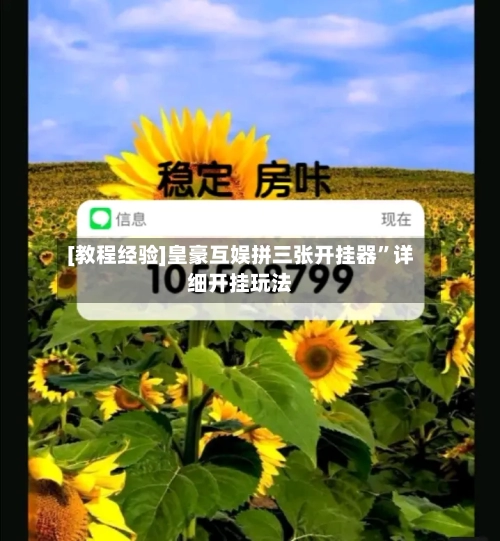 [教程经验]皇豪互娱拼三张开挂器”详细开挂玩法-第2张图片