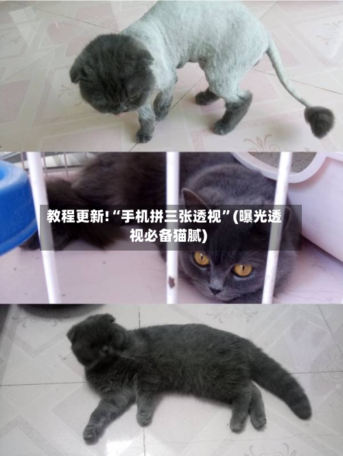 教程更新!“手机拼三张透视”(曝光透视必备猫腻)-第2张图片