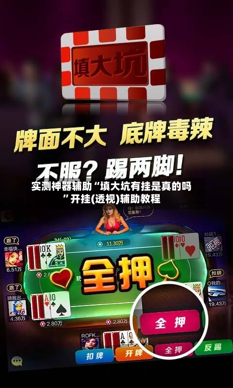 实测神器辅助“填大坑有挂是真的吗	”开挂(透视)辅助教程-第3张图片