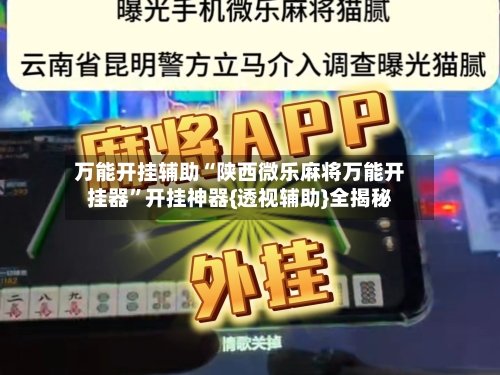 万能开挂辅助“陕西微乐麻将万能开挂器	”开挂神器{透视辅助}全揭秘-第2张图片