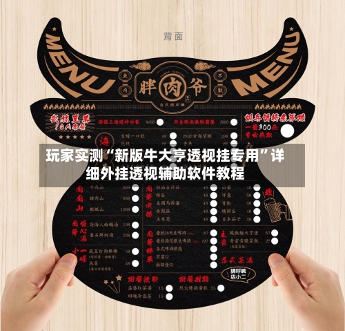 玩家实测“新版牛大亨透视挂专用	”详细外挂透视辅助软件教程-第3张图片