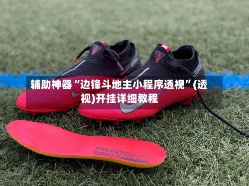 辅助神器“边锋斗地主小程序透视”(透视)开挂详细教程-第2张图片