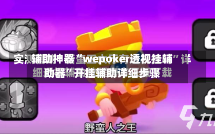 辅助神器“wepoker透视挂辅助器	”开挂辅助详细步骤-第3张图片