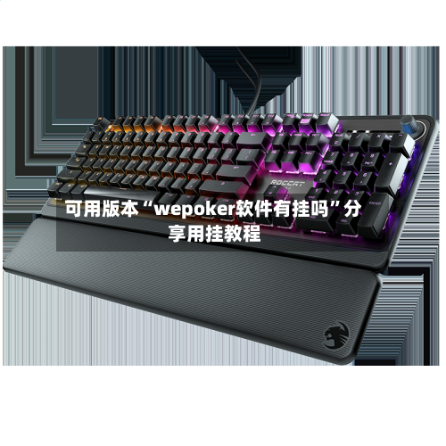 可用版本“wepoker软件有挂吗”分享用挂教程-第2张图片