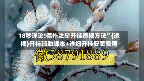 18秒详论!德扑之星开挂透视方法	”(透视)开挂辅助脚本+详细开挂安装教程-第2张图片