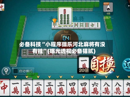 必备科技“小程序微乐河北麻将有没有挂”(曝光透视必备猫腻)-第2张图片