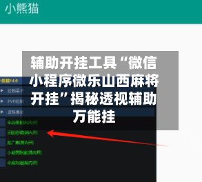辅助开挂工具“微信小程序微乐山西麻将开挂”揭秘透视辅助万能挂-第3张图片