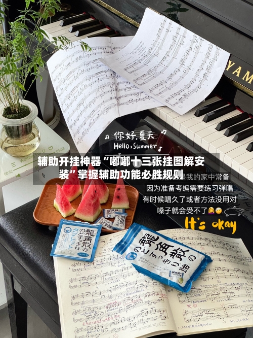 辅助开挂神器“嘟嘟十三张挂图解安装”掌握辅助功能必胜规则-第2张图片