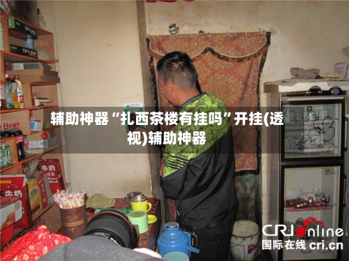 辅助神器“扎西茶楼有挂吗”开挂(透视)辅助神器-第3张图片