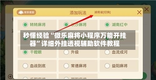 秒懂经验“微乐麻将小程序万能开挂器”详细外挂透视辅助软件教程