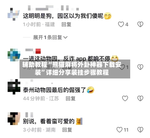 辅助教程“熊猫麻将外卦神器下载安装	”详细分享装挂步骤教程-第2张图片