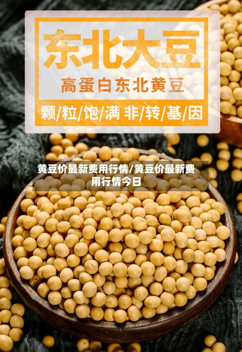 黄豆价最新费用行情/黄豆价最新费用行情今日