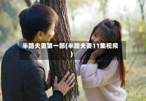 半路夫妻第一部(半路夫妻11集视频)