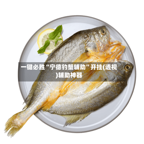 一键必胜“宁德钓蟹辅助”开挂(透视)辅助神器