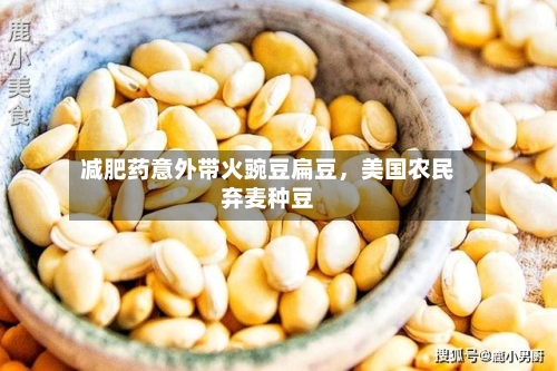 减肥药意外带火豌豆扁豆	，美国农民弃麦种豆-第2张图片
