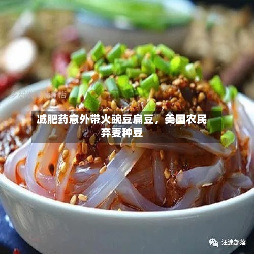 减肥药意外带火豌豆扁豆，美国农民弃麦种豆-第3张图片