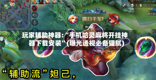 玩家辅助神器:“手机哈灵麻将开挂神器下载安装	”(曝光透视必备猫腻)-第3张图片