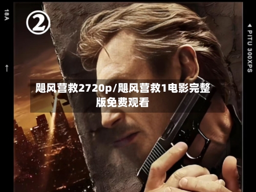飓风营救2720p/飓风营救1电影完整版免费观看-第3张图片