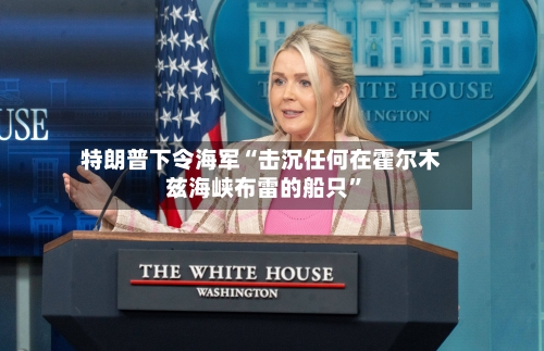 特朗普下令海军“击沉任何在霍尔木兹海峡布雷的船只”