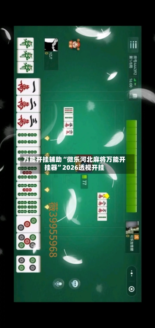 万能开挂辅助“微乐河北麻将万能开挂器”2026透视开挂-第2张图片