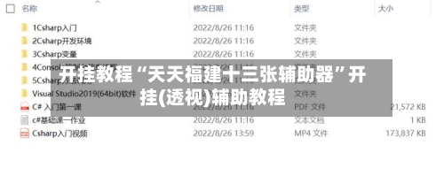 开挂教程“天天福建十三张辅助器”开挂(透视)辅助教程-第2张图片