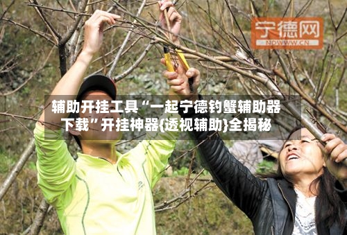 辅助开挂工具“一起宁德钓蟹辅助器下载”开挂神器{透视辅助}全揭秘-第2张图片