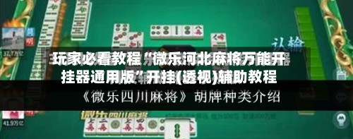 玩家必看教程“微乐河北麻将万能开挂器通用版”开挂(透视)辅助教程-第2张图片