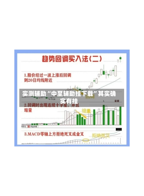 实测辅助“中至辅助挂下载”其实确实有挂