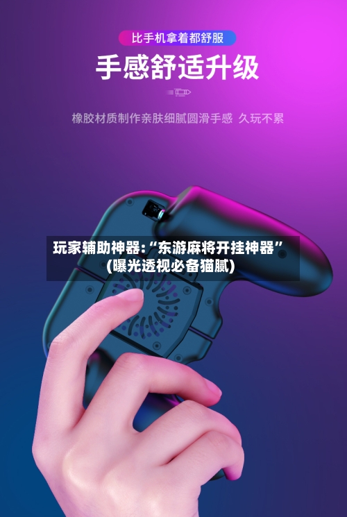 玩家辅助神器:“东游麻将开挂神器”(曝光透视必备猫腻)-第3张图片