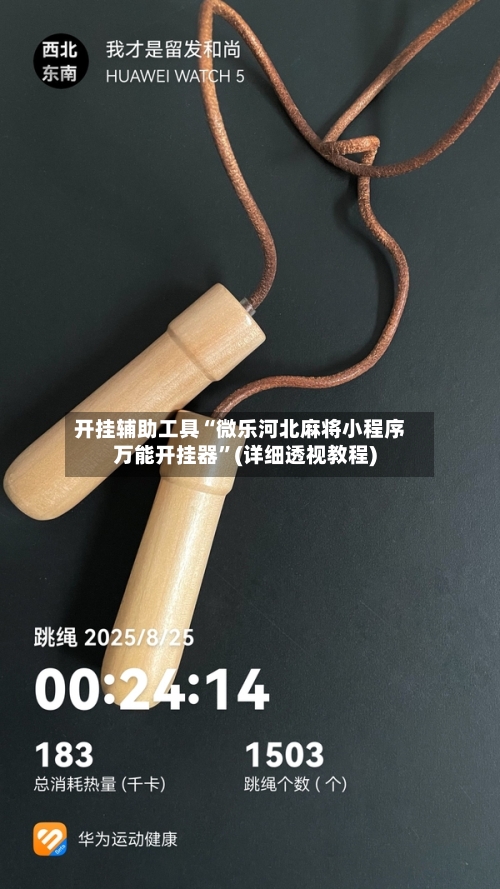 开挂辅助工具“微乐河北麻将小程序万能开挂器”(详细透视教程)-第2张图片