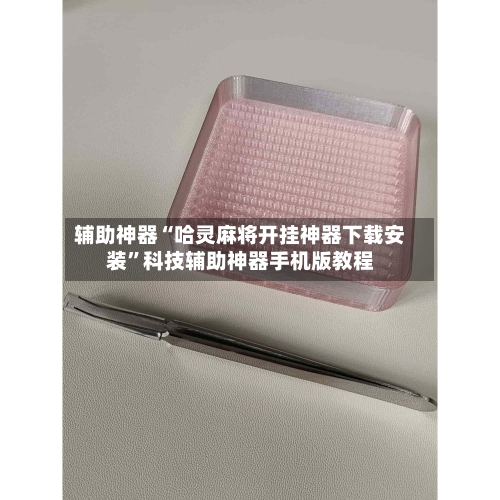 辅助神器“哈灵麻将开挂神器下载安装”科技辅助神器手机版教程-第3张图片