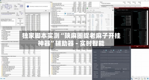 独家脚本实测“陕麻圈捉老麻子开挂神器”辅助器 - 实时智能-第2张图片