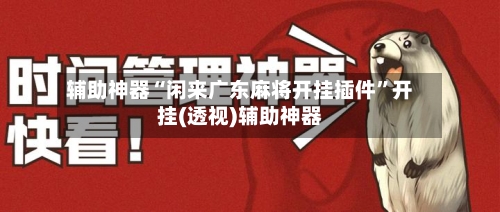 辅助神器“闲来广东麻将开挂插件”开挂(透视)辅助神器-第3张图片