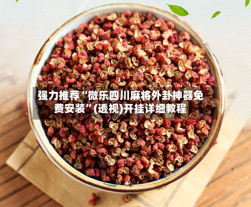 强力推荐“微乐四川麻将外卦神器免费安装”(透视)开挂详细教程-第2张图片