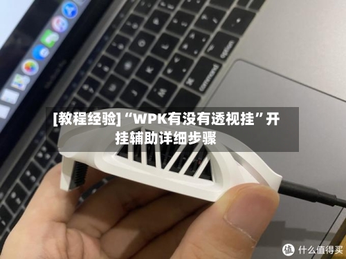 [教程经验]“WPK有没有透视挂”开挂辅助详细步骤-第2张图片