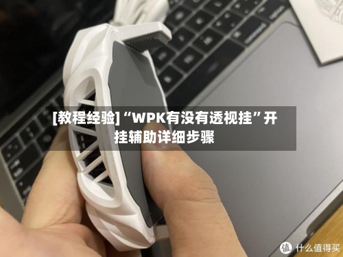 [教程经验]“WPK有没有透视挂	”开挂辅助详细步骤-第3张图片