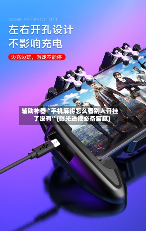 辅助神器“手机麻将怎么看别人开挂了没有	”(曝光透视必备猫腻)-第3张图片